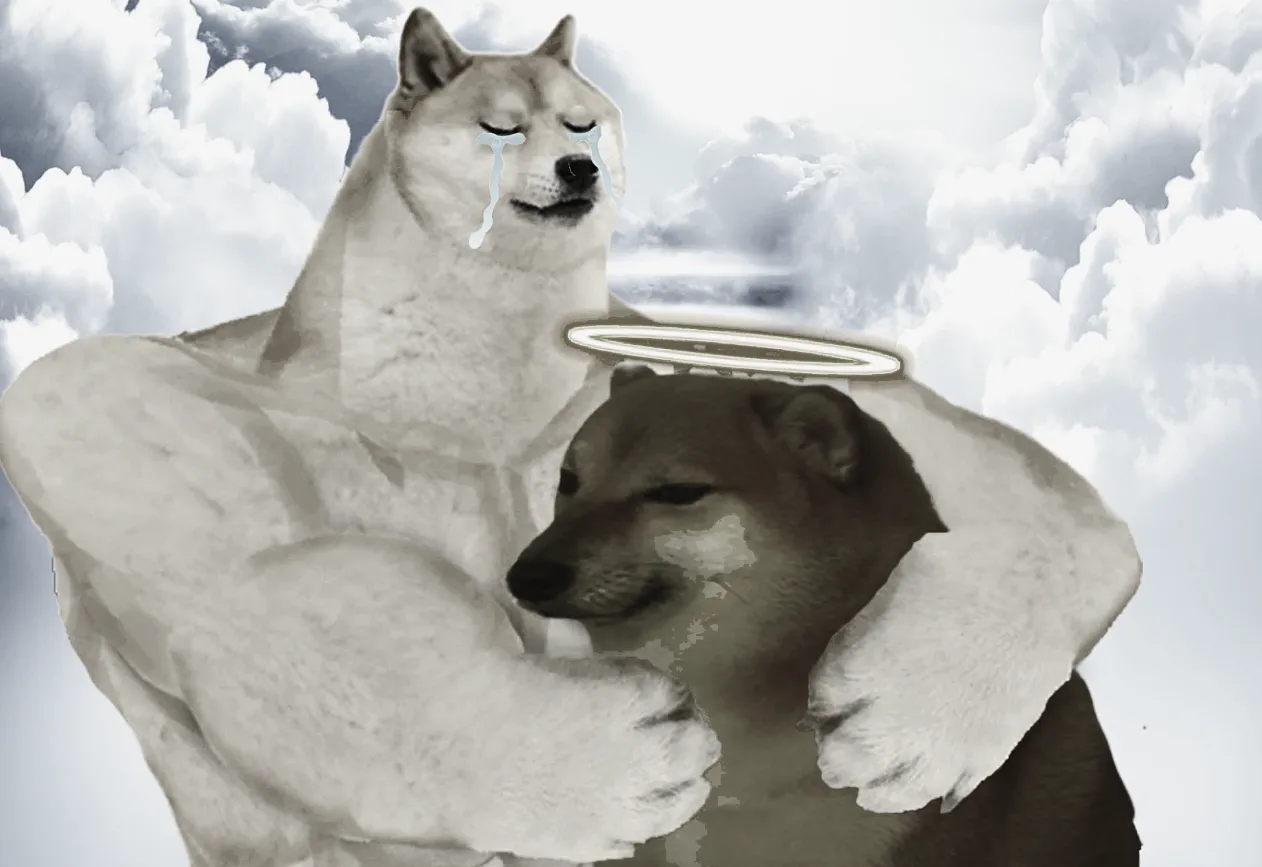 Доге и Чимс (2020-2024)
