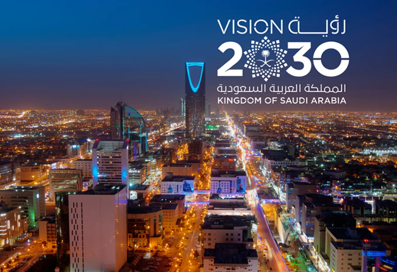 «Видение 2030»