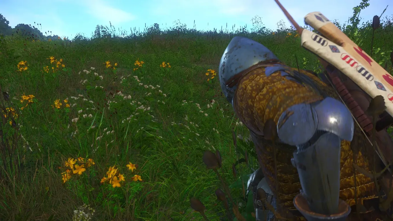 Kingdom Come: Deliverance