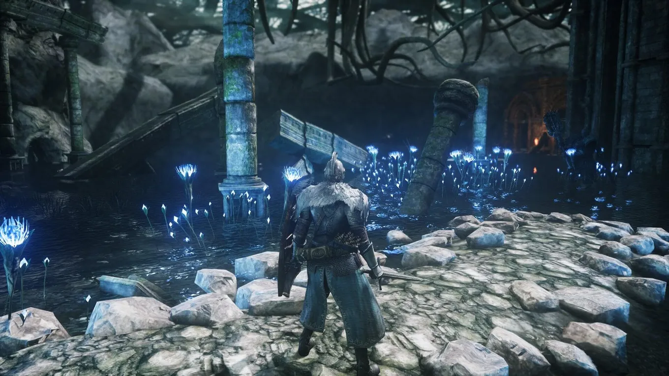 Dark Souls 2