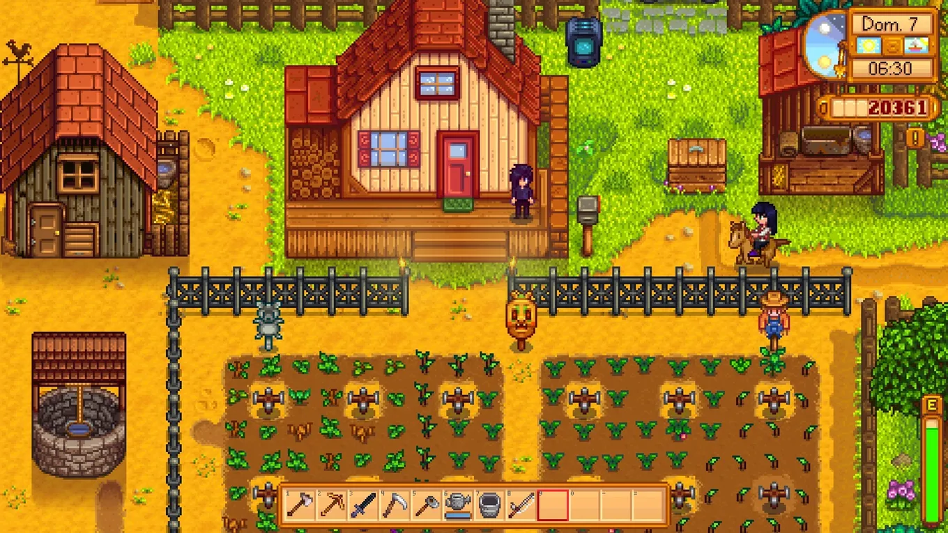 Stardew Valley