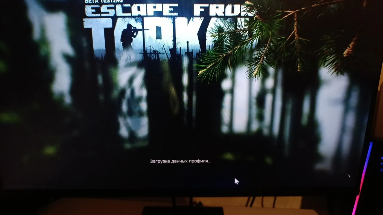Escape from Tarkov у россиян бесконечно загружается и не открывается