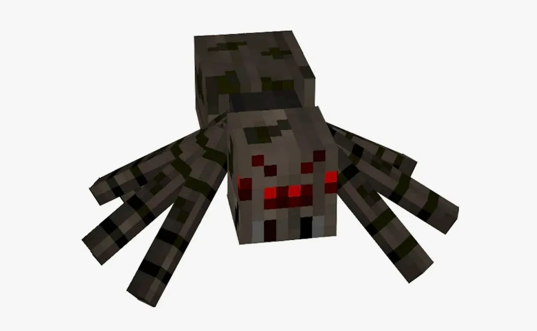 pauk