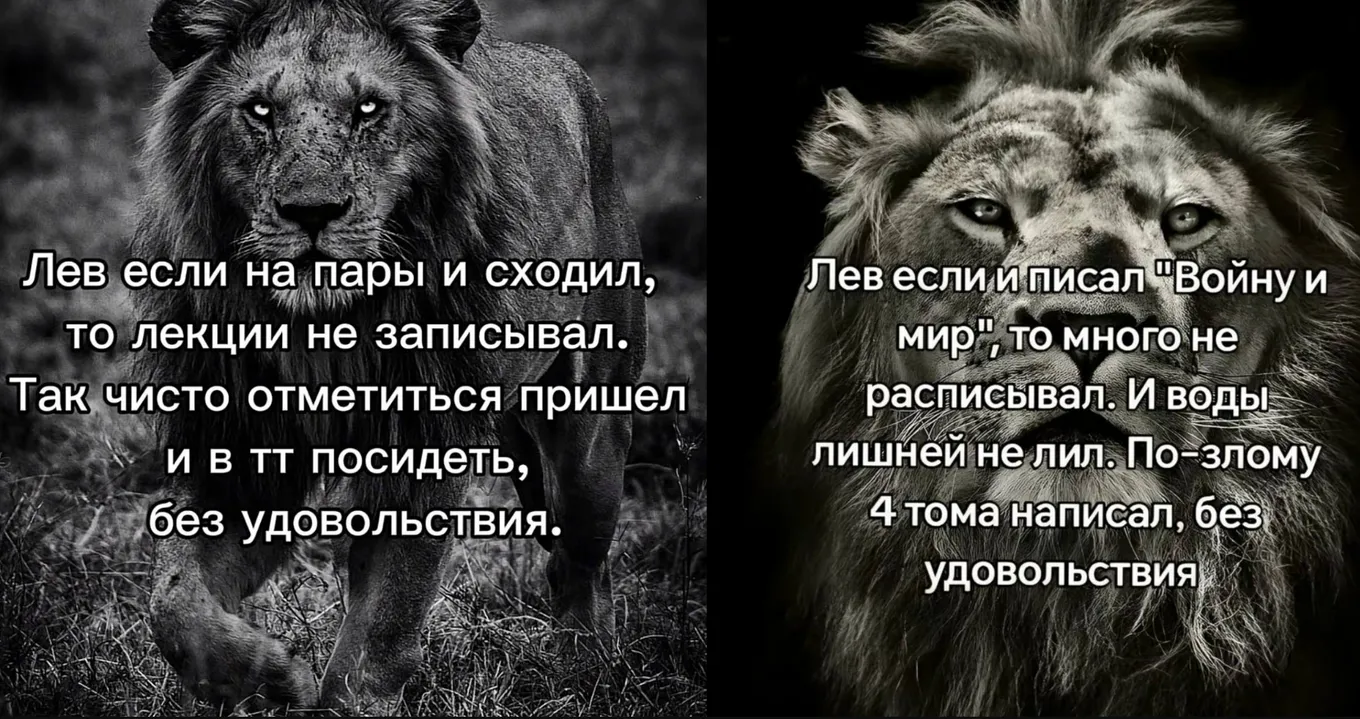 Мемы «лев если и...»