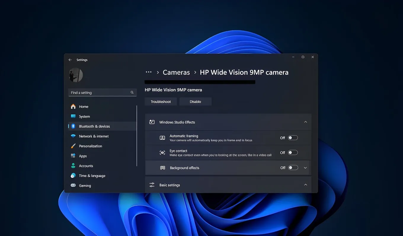 Windows 11