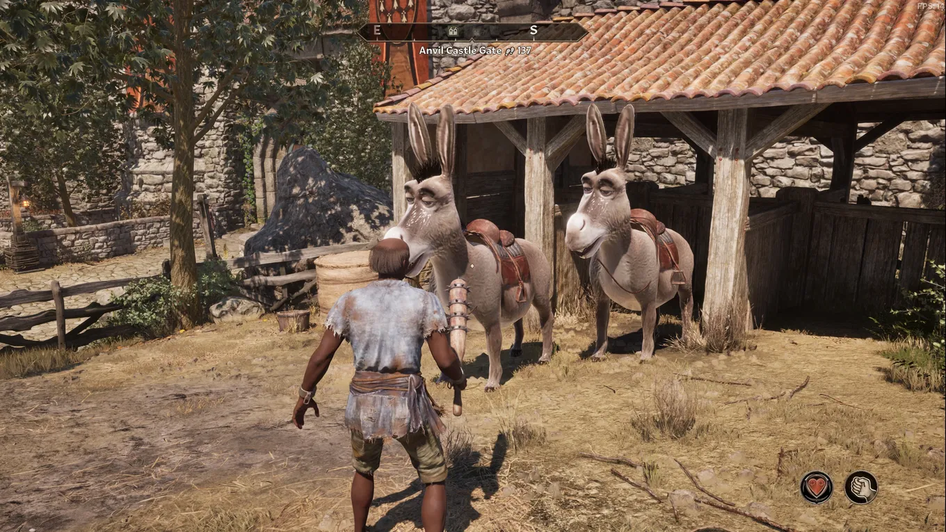 Donkey Horse