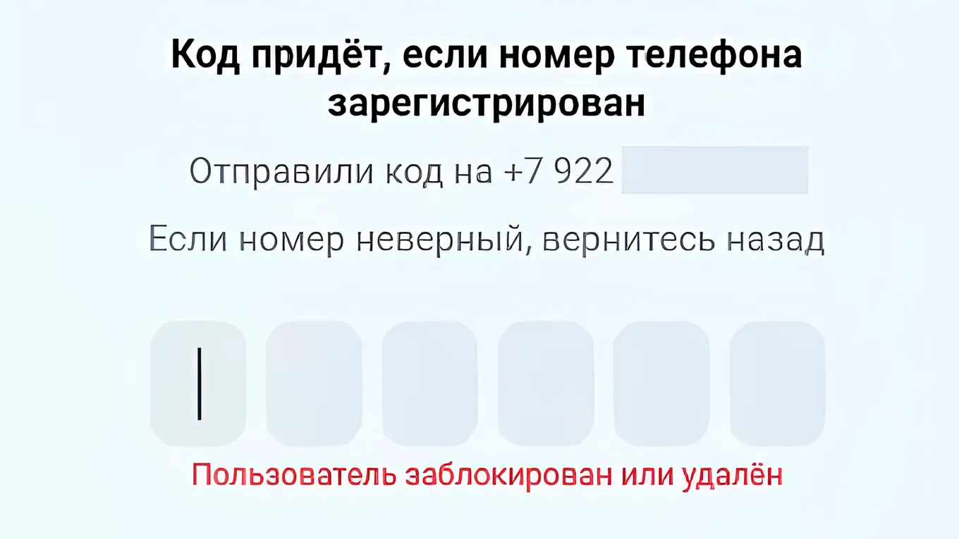 Чтобы защитить ваши данные от мошенников, система временно замораживает аккаунт, после чего вы сможете в него войти