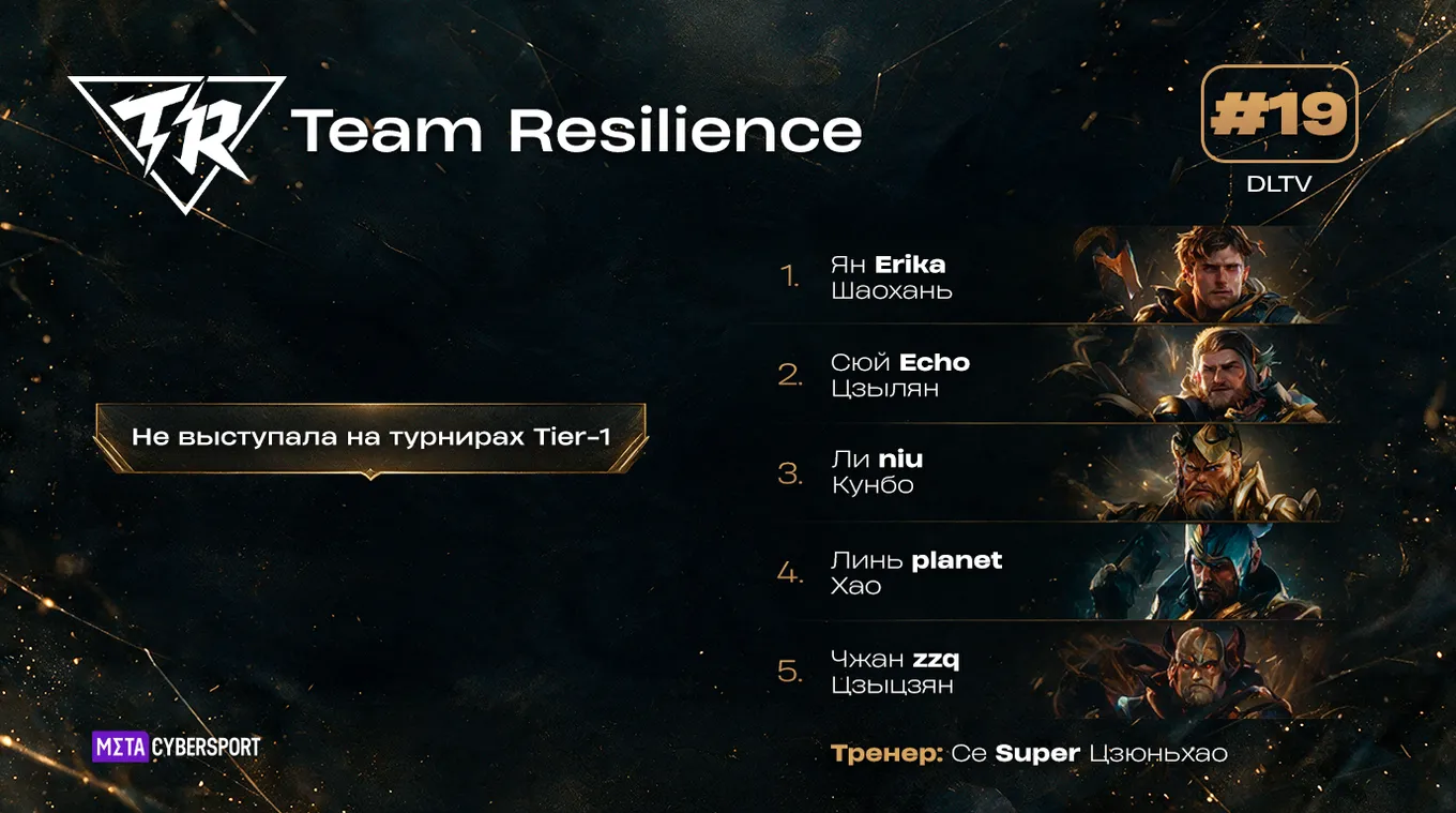 Team Resilience