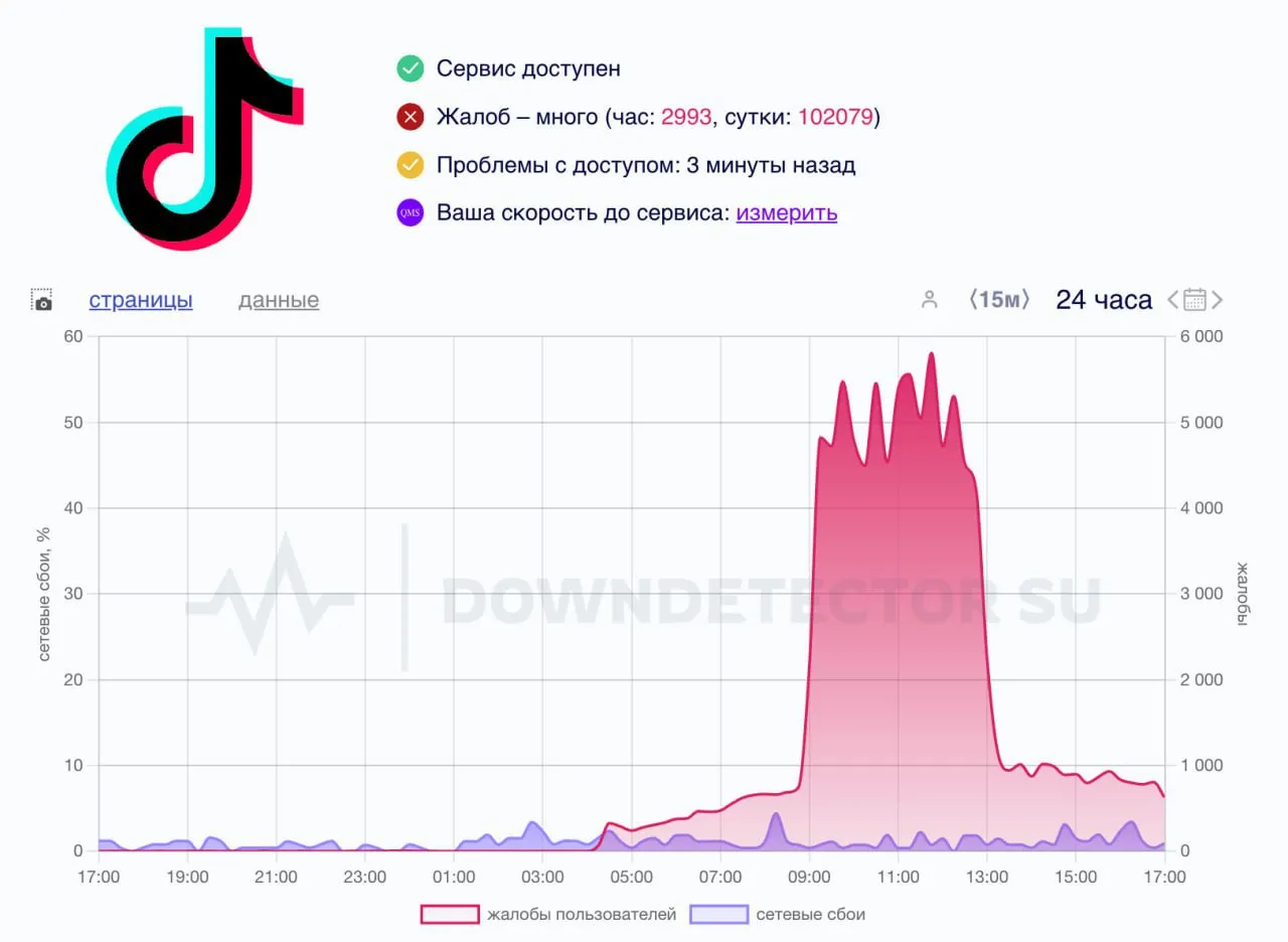 Сбой в работе TikTok*