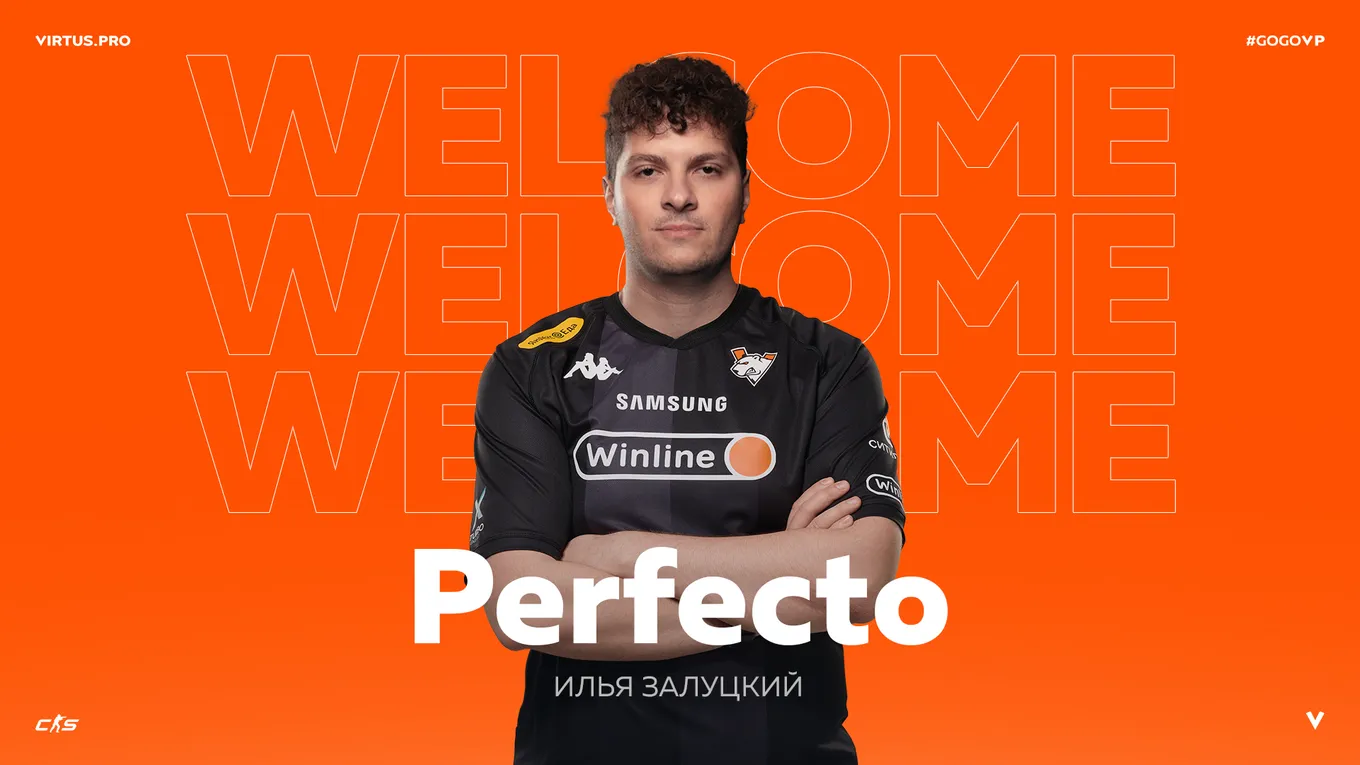 Илья Perfecto Залуцкий