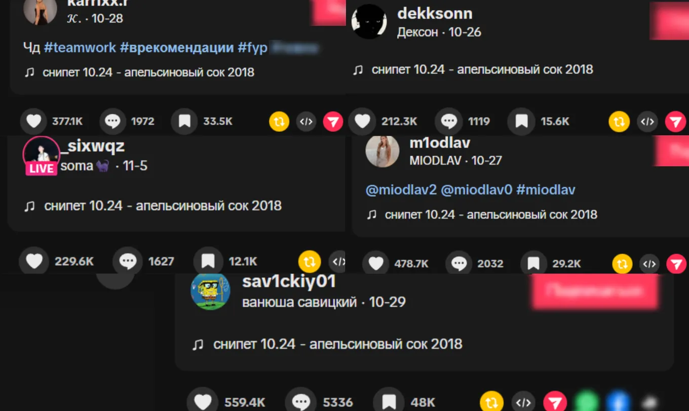 В сумме эти видео собрали десятки миллионов просмотров, почти 2 миллиона лайков, около 150 тысяч закладок, более 10 тысяч комментариев в TikTok*