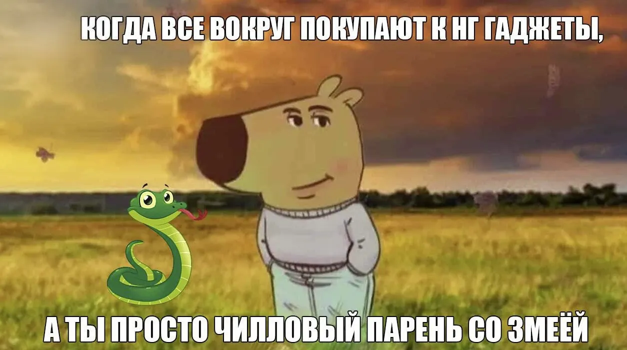 Чилловый парень, мем