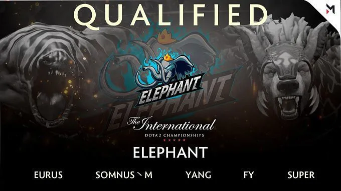 Elephant