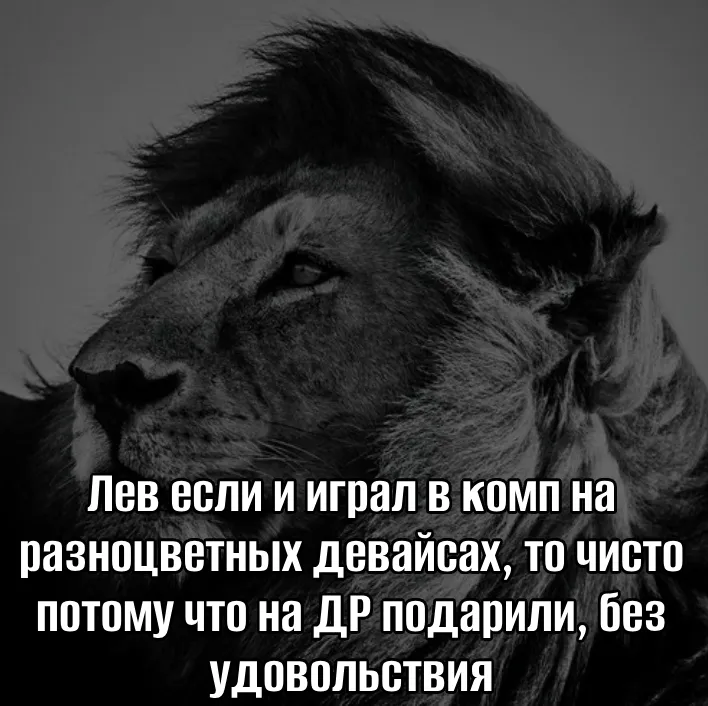 Новый мем «Лев если и...», то «...без удовольствия»