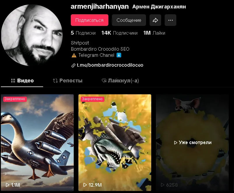 Профиль armenjiharhanyan и его ролики в TikTok*