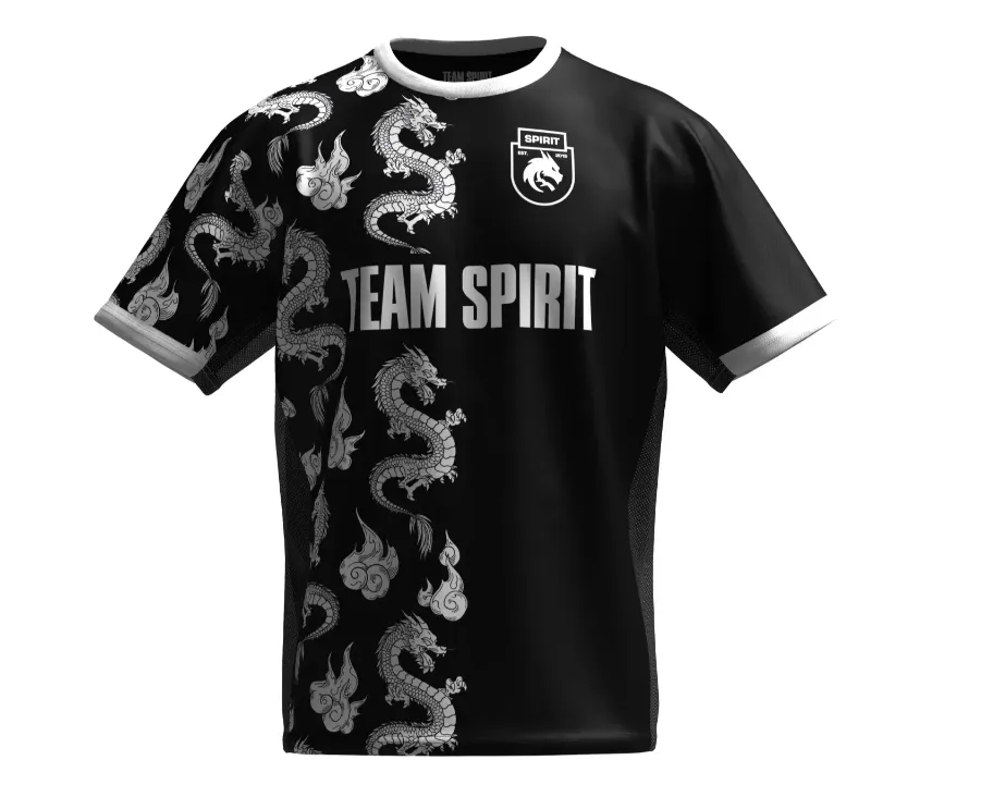 Мерч Team Spirit
