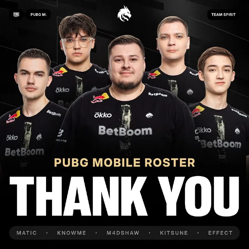 Анонс Team Spirit