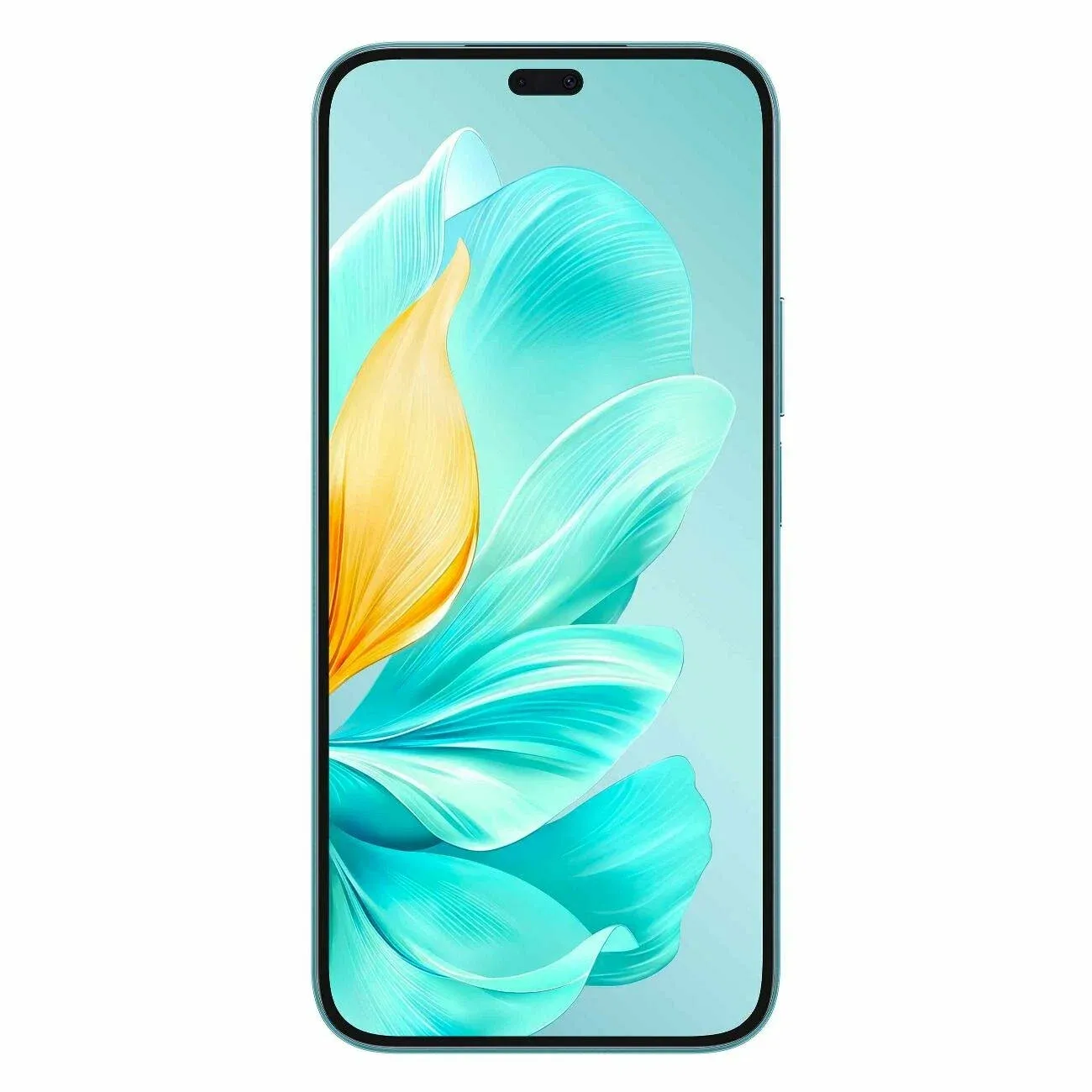 Забрать Honor 200 Lite*