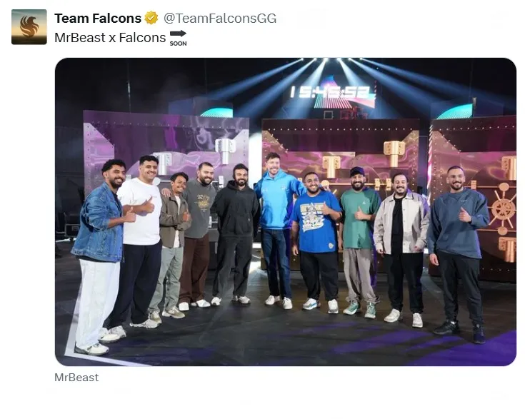 Пост Team Falcons