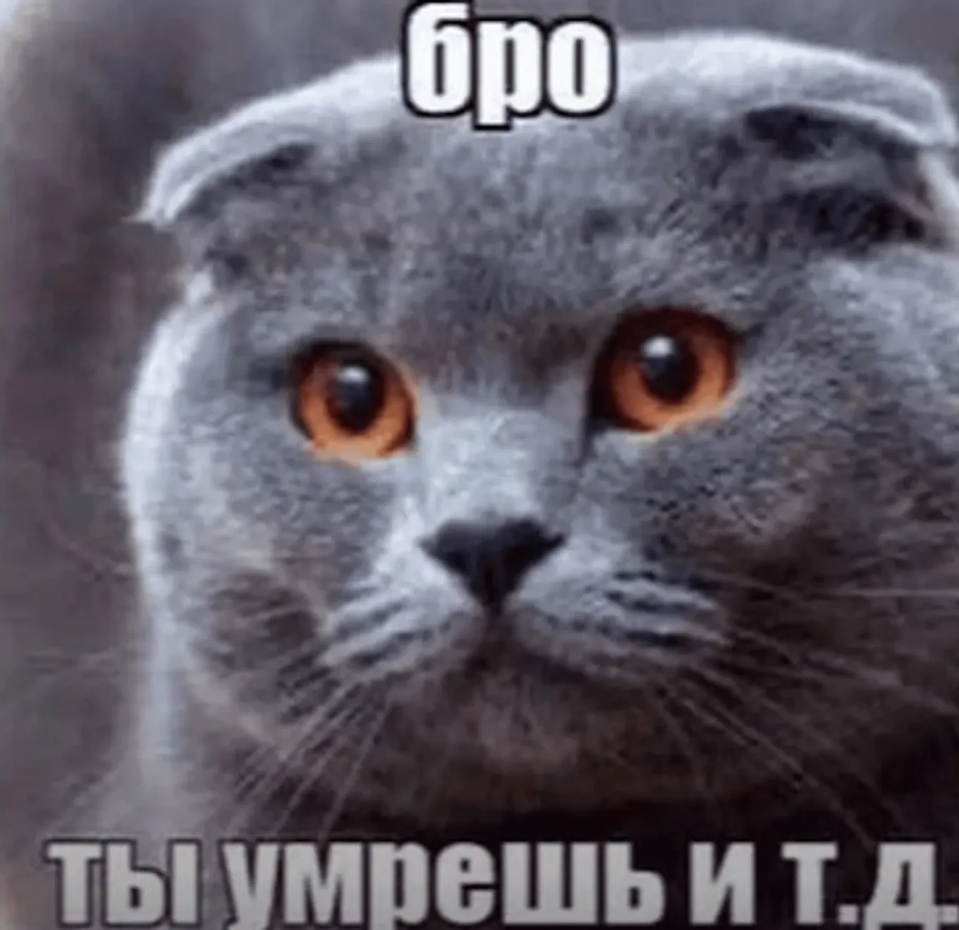 Фраза «и т.д.» в конце стала ключевым элементом, добавляющим мему иронический оттенок