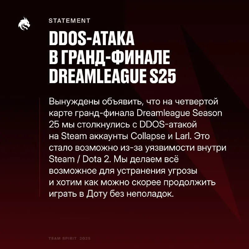 Заявление Team Spirit