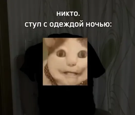Один из вариантов мема с котом