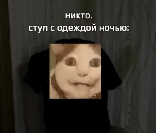 Мем «Бу! Испугался? Не бойся, я друг, я тебя не обижу...»
