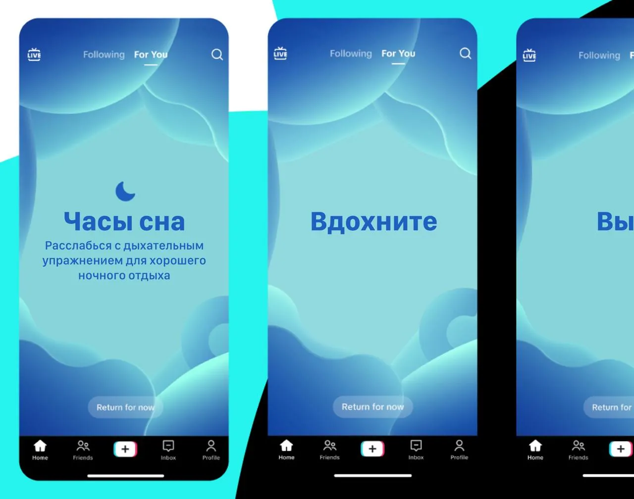 Напоминания от TikTok*