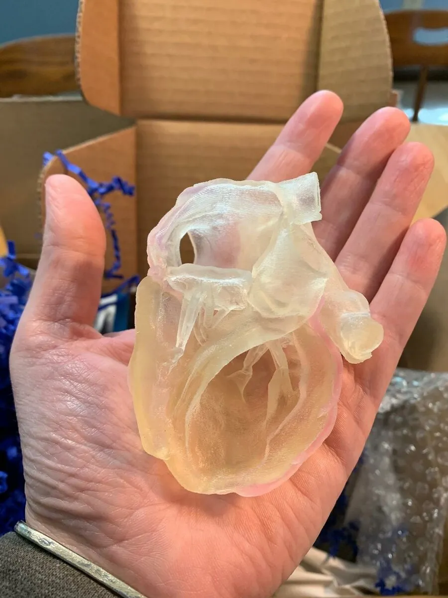 3D органы из пластика