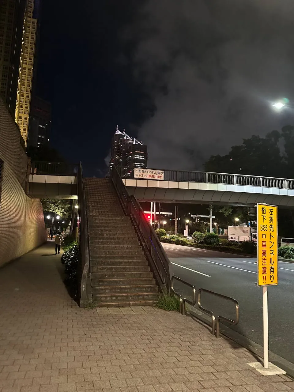 TORONTOTOKYO в Японии