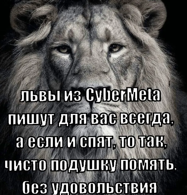 Мем со львом от редакции CyberMeta