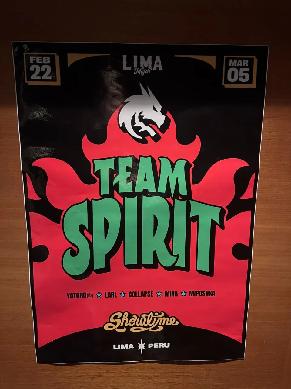 Team Spirit в полном составе добралась до места проведения мейджора по Dota 2