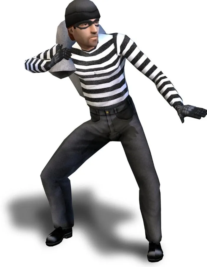 Вор из франшизы The Sims