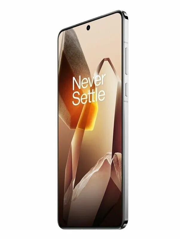 OnePlus 13