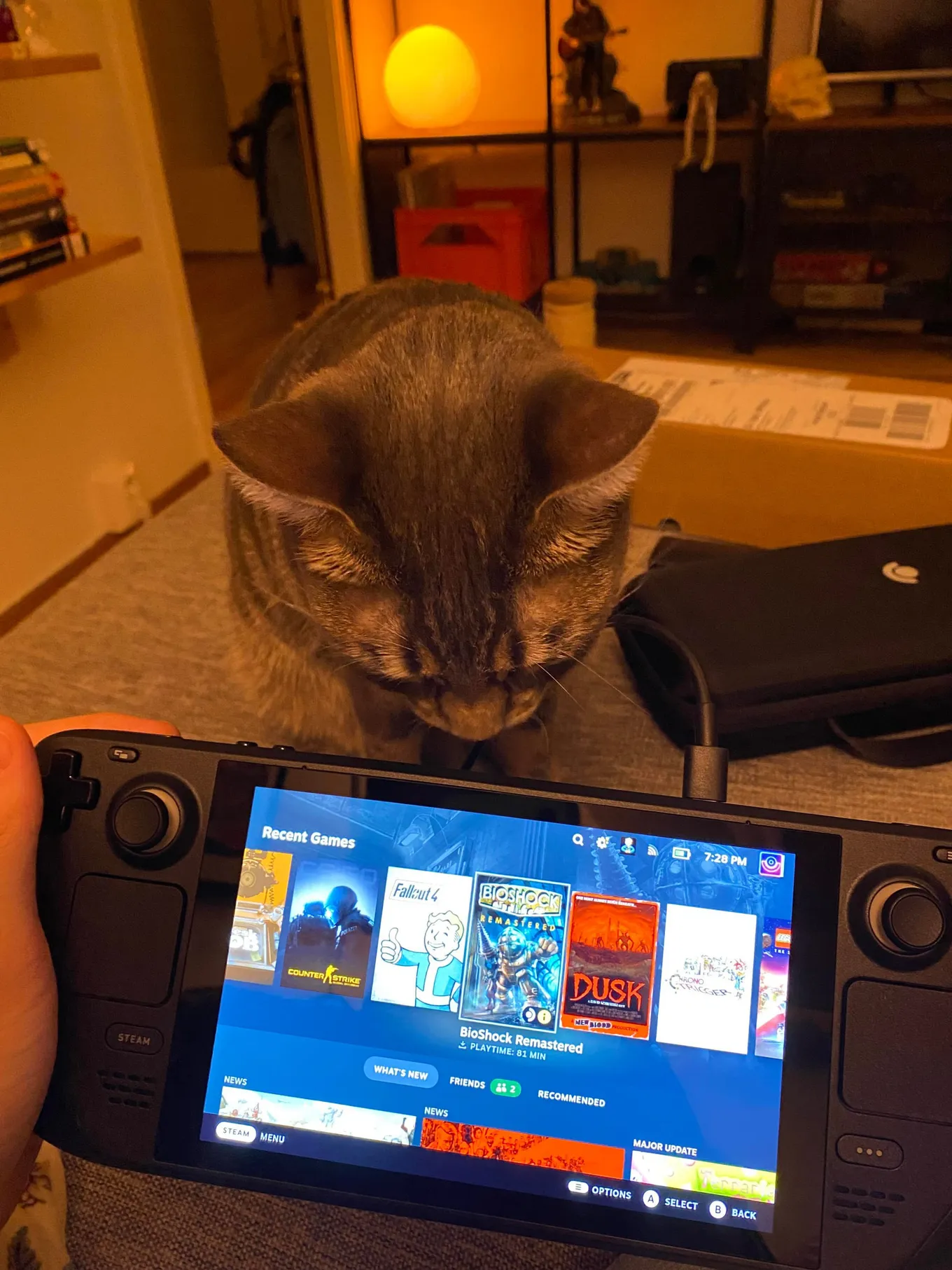 Кот нюхает Steam Deck