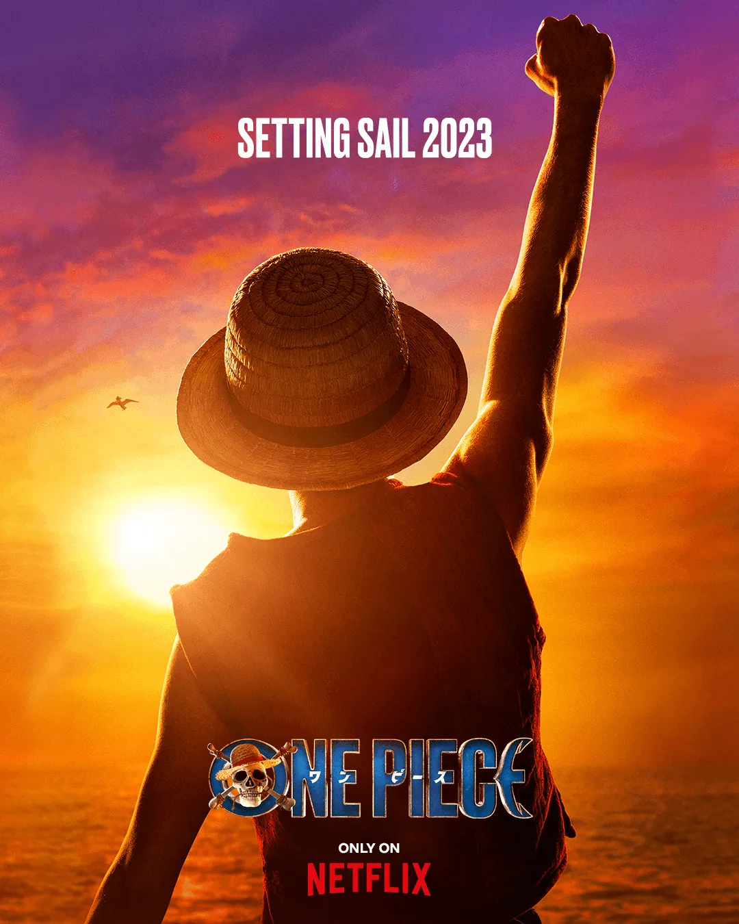 Постер сериала по One Piece