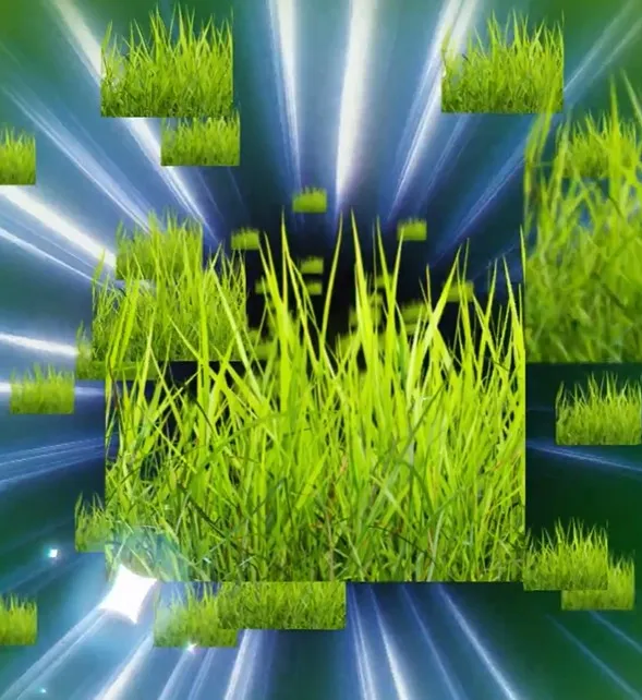 Значок «Потрогай Траву» («Touch Grass»)