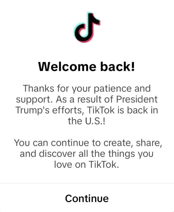 Возвращение TikTok* в США