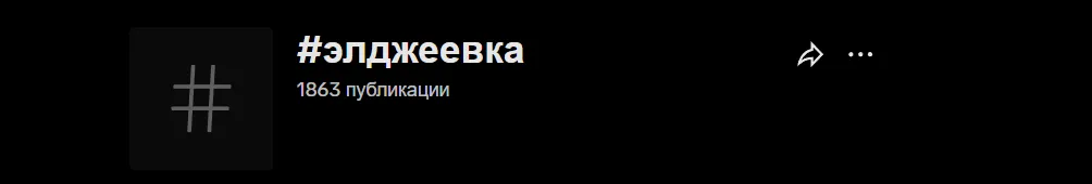 К моменту публикации материала в TikTok* выложили практически две тысячи различных видео с хэштегом «Элджеевка»