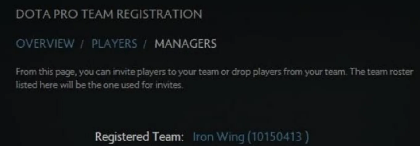 1w Team выступит на TI 2026 под тегом Iron Wing