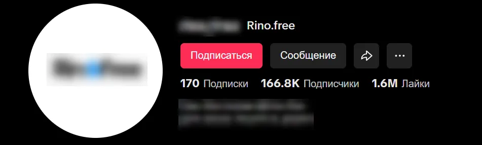 У магазина, создавшего мем «Кушай финики», более 160 тысяч подписчиков, более 1,6 млн лайков и десятки миллионов просмотров на роликах