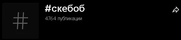 В июле 2025 года в TikTok* уже более 4760 роликов с хэштегом «скебоб»