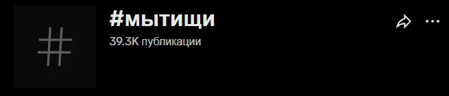 На момент публикации статьи в TikTok* около 40 тысяч публикаций по хэштегу «Мытищи»