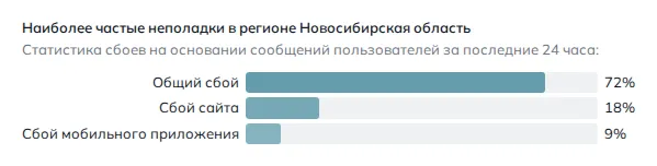 Наиболее частые неполадки в регионе Новосибирская область (данные на 31 октября 2026 года, 07:42 МСК)