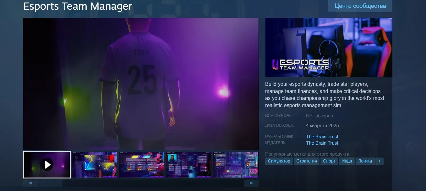 Esports Team Manager в Steam