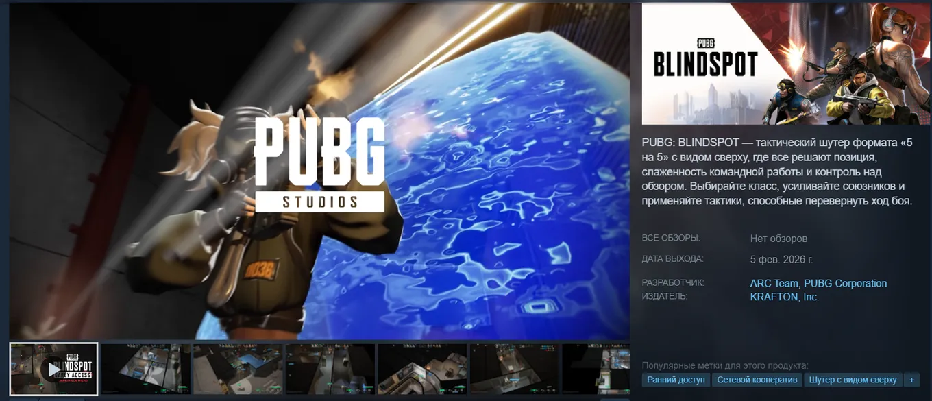PUBG: BLINDSPOT в Steam