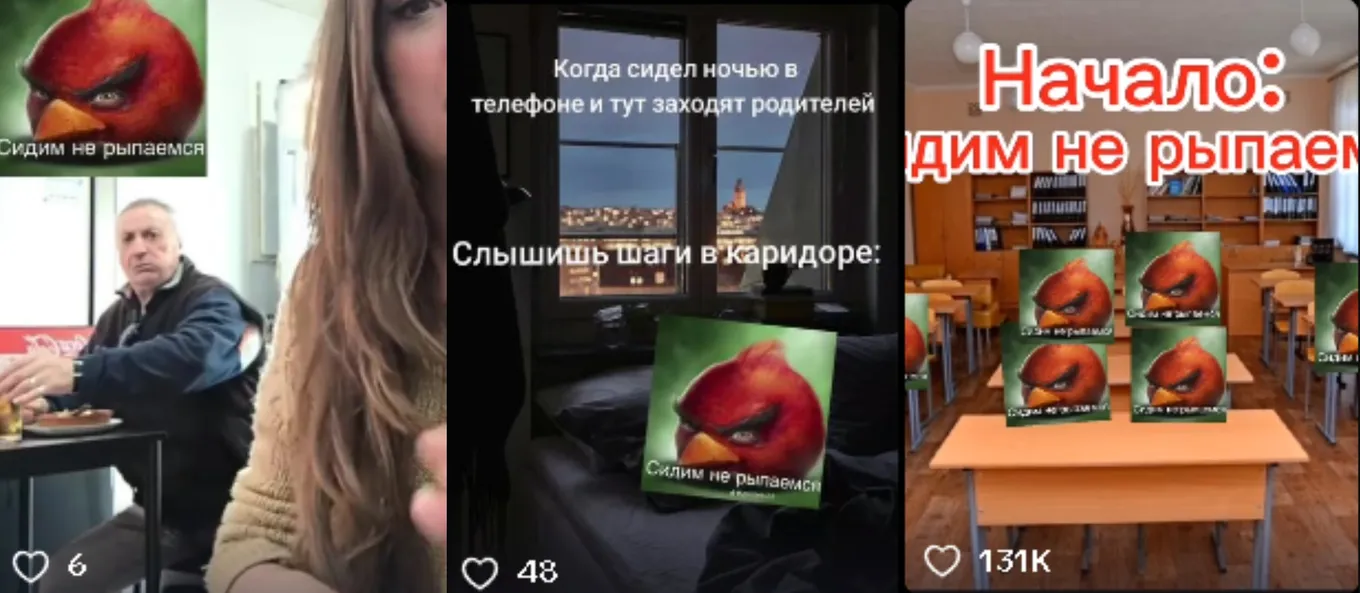 Мем «Сидим-не рыпаемся»