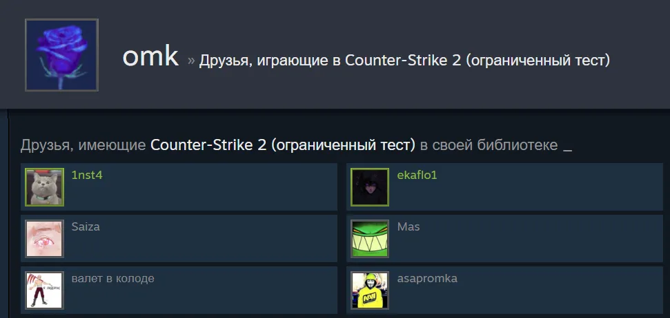 Список друзей, у которых есть CS 2