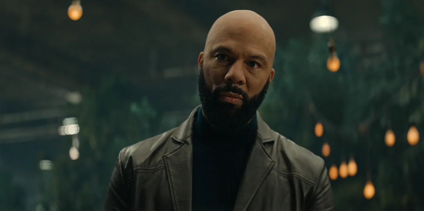 Рэпер Common в сериале «Укрытие»