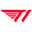 T1